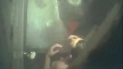 Brandbomber chick smagfuldt sutte pik