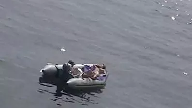 Hvid flået tøs slikker sort mands pik